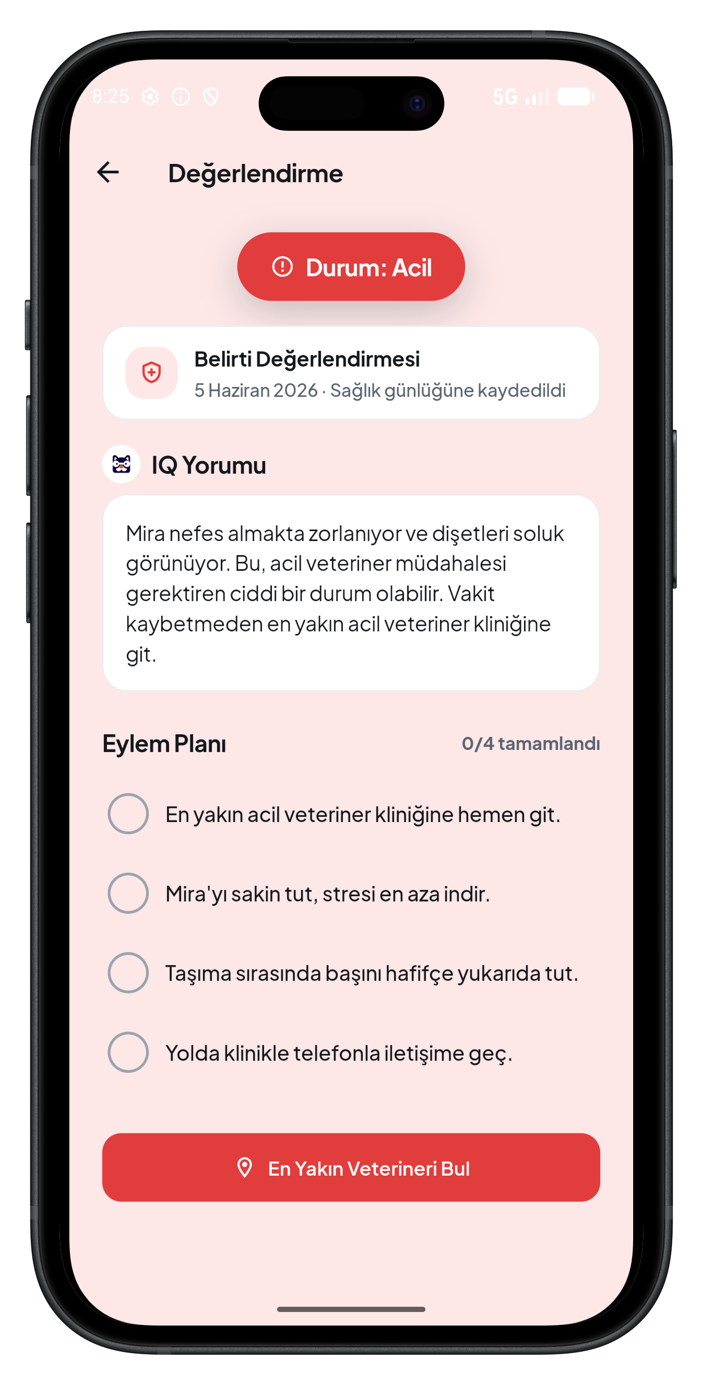 Belirti Değerlendirme